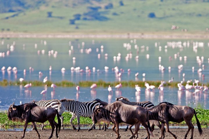 Ngorongoro Crater