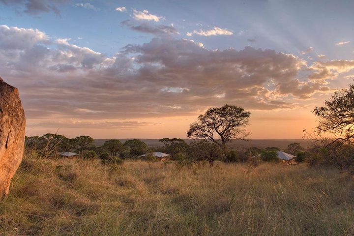 Serengeti National Park 3