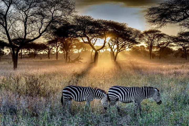 Serengeti National Park